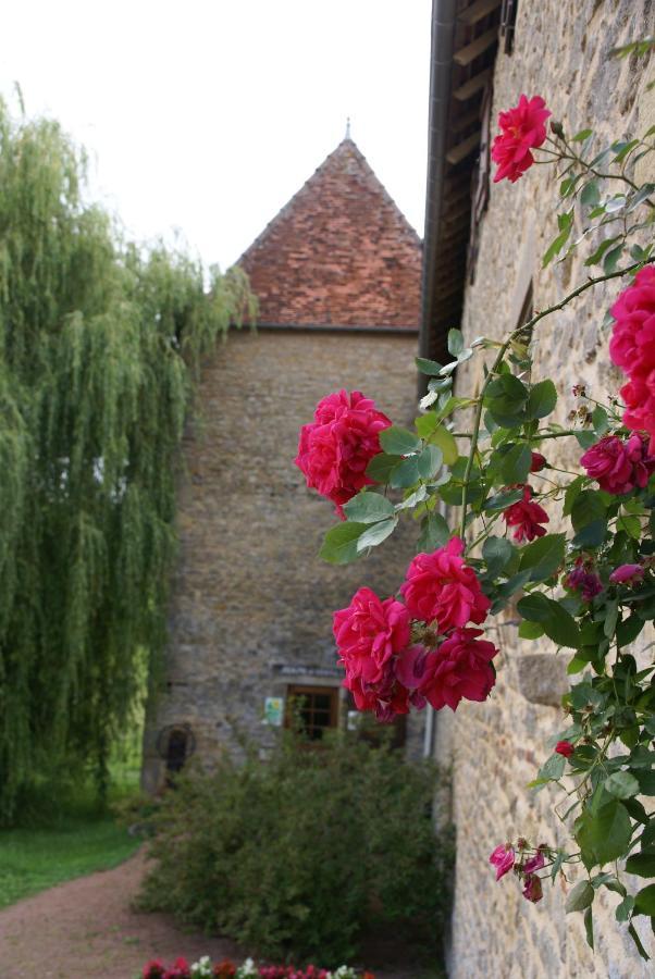 Chambre D' Hotes Des Collines Amanzé 外观 照片